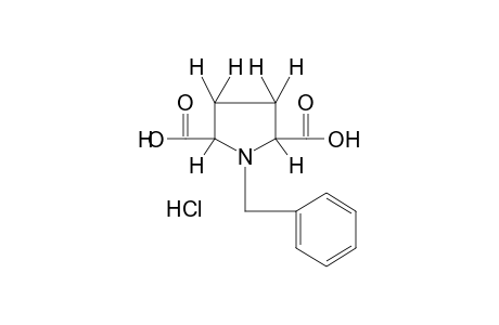 1-benzyl-2,5-pyrrolidinedicarboxylic acid, hydrochloride