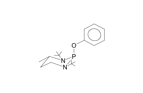 TRANS-1,3-DI-TERT-BUTYL-2-PHENOXY-4-METHYL-1,3,2-DIAZAPHOSPHORINANE