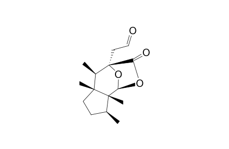 LEJEUNEAPINGUISANOLIDE