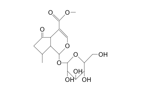 Verbenaloside