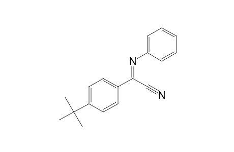 (p-tert-butylphenyl)(phenylimino)acetonitrile