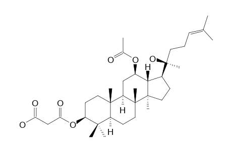 PENDULIC-ACID;3-BETA-O-MALONYL-12-BETA-O-ACETYL-20S-HYDROXY-DAMMAR-24-ENE