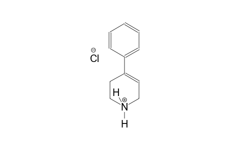 4-Phenyl-1,2,3,6-tetrahydropyridine HCl