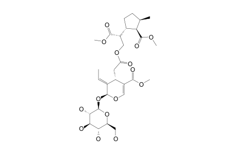 2'',8''-EPI-FRAMEROSIDE-DIMETHYLESTER