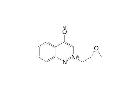 (RAC)-2-[(2R)-OXIRAN-2-YL-METHYL]-CINNOLIN-2-IUM-4-OLATE