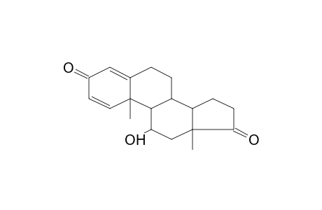 PREDNISOLONE-ARTIFACT