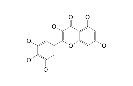 Myricetin