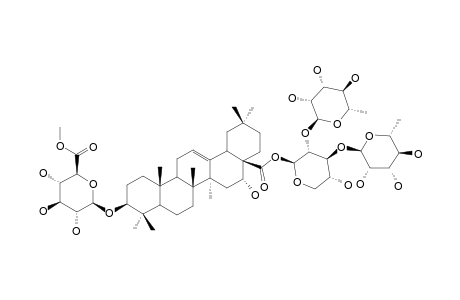 SCABEROSIDE-HA;3-O-BETA-[(6-O-METHYL)-GLUCURONOPYRANOSYL]-ECHINOCYSTIC-ACID-28-O-[RHAMNOPYRANOSYL-(1->2)-[RHAMNOPYRANOSYL-(1->3)]-XYLOPYRANOSYL]-E