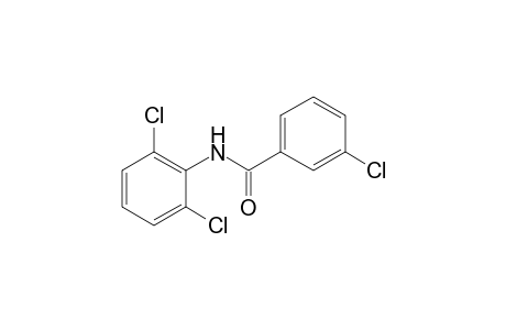 2',3,6'-trichlorobenzanilide