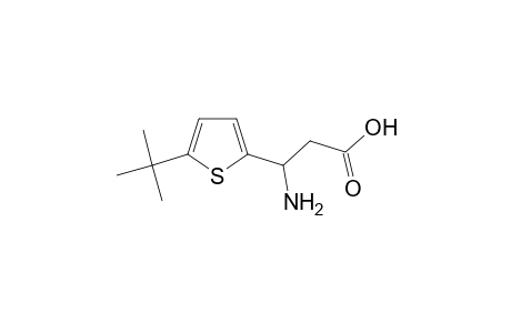 beta-AMINO-5-tert-BUTYL-2-THIOPHENEPROPIONIC ACID