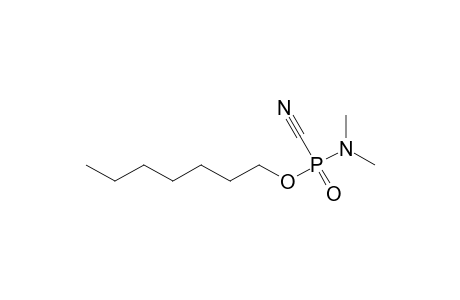 HEPTYL N,N-DIMETHYLPHOSPHOROAMIDOCYANIDATE