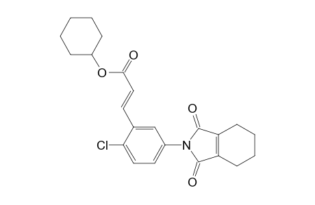 2-Propenoic acid, 3-[2-chloro-5-(1,3,4,5,6,7-hexahydro-1,3-dioxo-2H-isoindol-2-yl)phenyl]-, cyclohexyl ester