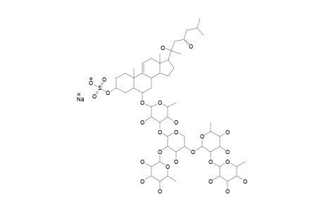 MACULATOSIDE;6-ALPHA-O-(BETA-D-FUCOPYRANOSYL-(1->2)-BETA-D-QUINOVOPYRANOSYL-(1->4)-[BETA-D-QUINOVOPYRANOSYL-(1->2)]-BETA-D-XYLOPYRANOSYL-(1->3)-BETA-D-QUINOVOP