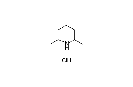 2,6-Dimethylpiperidine hydrochloride