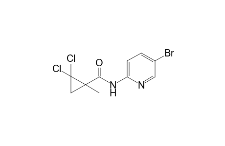 cyclopropanecarboxamide, N-(5-bromo-2-pyridinyl)-2,2-dichloro-1-methyl-