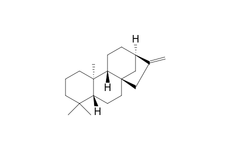 ent-kaurene