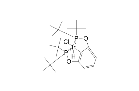 PARA-H-PCP-IR-HCL