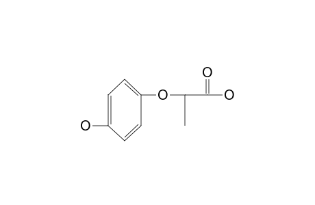 2-(p-HYDROXYPHENOXY)PROPIONIC ACID