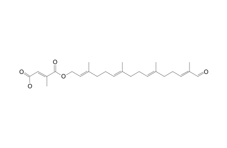 BOLETININ_I