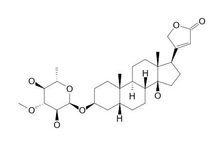 NERIIFORLIN