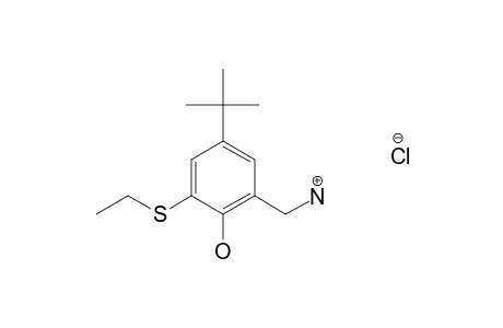 alpha-AMINO-4-tert-BUTYL-6-(ETHYLTHIO)-o-CRESOL, HYDROCHLORIDE