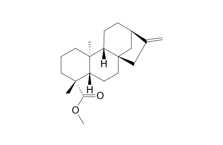 METHYL-ENT-KAUR-16-EN-19-OATE