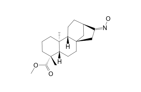 METHYL-ENT-16Z-OXIME-17-NORKAURAN-19-OATE