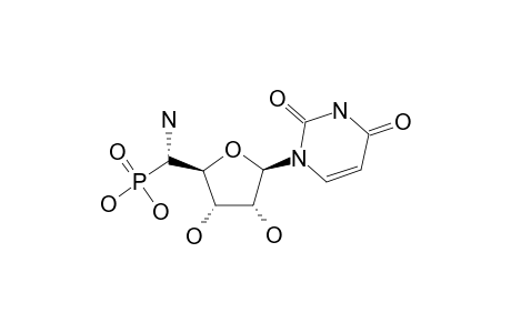 5'-[1'-(5'S-AMINO-BETA-D-RIBO-PENTA-1',4'-FURANOSYL)-URACIL]-PHOSPHONIC-ACID