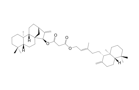 ENT-KAUR-16-EN-15-BETA-YL-ENT-LABDA-8(17),13-DIEN-15-YL-MALONATE