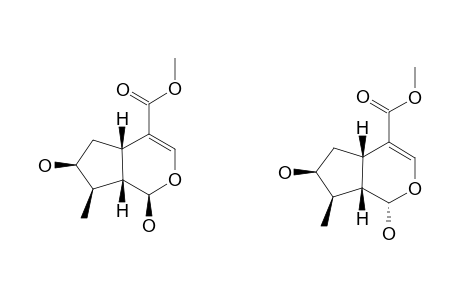 LOGANETIN;1-EPI-LOGANETIN;MIXTURE