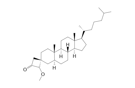 ISOMER-#1