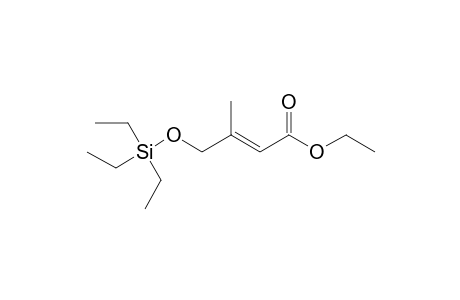 ETHYL-(2E)-3-METHYL-4-[(TRIETHYLSILYL)-OXY]-2-BUTENOATE