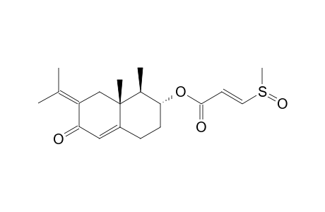 PETASONE_A