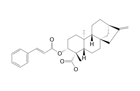 3-ALPHA-CINNAMOYLOXY-KAUR-16-EN-19-OIC-ACID