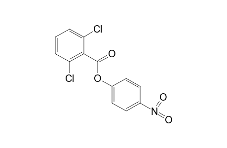 2,6-dichlorobenzoic acid, p-nitrophnenyl ester