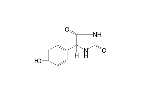 5-(p-hydroxyphenyl)hydantoin