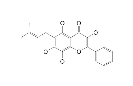 PLATANETIN;6-C-GEM-DIMETHYLALLYL-5,7,8-TRIHYDROXY-FLAVONOL