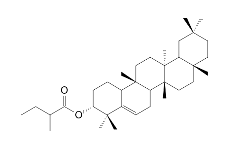 GLUT-5-ENE-3-ALPHA-METHYLBUTYRATE