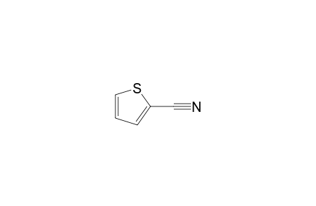 2-Thiophenecarbonitrile