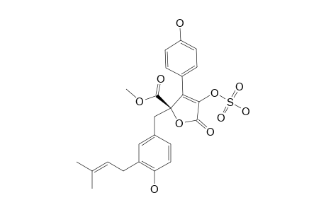 BUTYROLACTONE_I_3-SULFATE