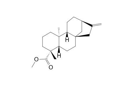 METHYL-ENT-KAUR-16-EN-19-OATE