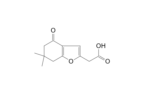 6,6-dimethyl-4-oxo-4,5,6,7-tetrahydro-2-benzofuranacetic acid