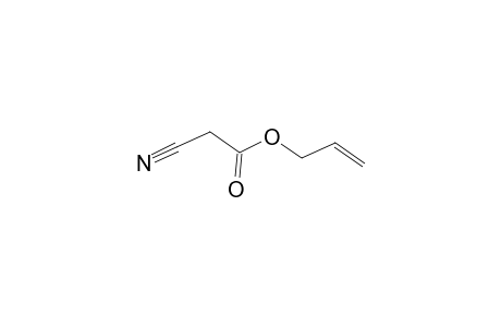 cyanoacetic acid, allyl ester