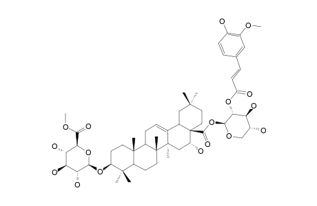 TRAGOPOGONSAPONIN-C;3-O-BETA-[6-O-METHYL-GLUCURONOPYRANOSYL]-ECHINOCYSTIC-ACID-28-O-[(2-FERULOYLOXY)-XYLOPYRANOSYL]-ESTER