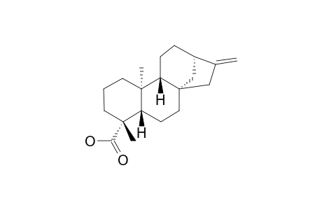 KAURENOIC-ACID