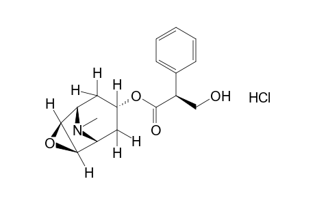 2-phenylhydracrylic acid, 6 beta, 7 beta-epoxy-1alpha H, 5 alpha H-tropan-3 alpha-yl ester, hydrochloride