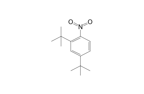 2,4-DI-tert-BUTYL-1-NITROBENZENE