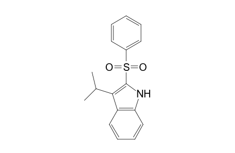 2-phenylsulfonyl-3-propan-2-yl-1H-indole