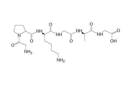 GLYCINE-PROLINE-LYSINE-GLYCINE-ALANINE-GLYCINE