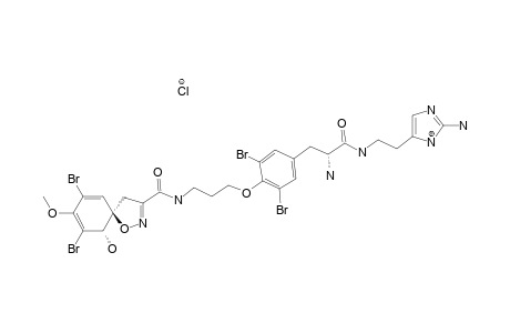 PSEUDOCERATININE-C